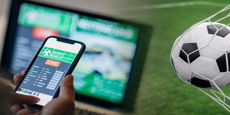 Cá độ bóng đá đã trở thành hình thức giải trí hot rất phổ biến
