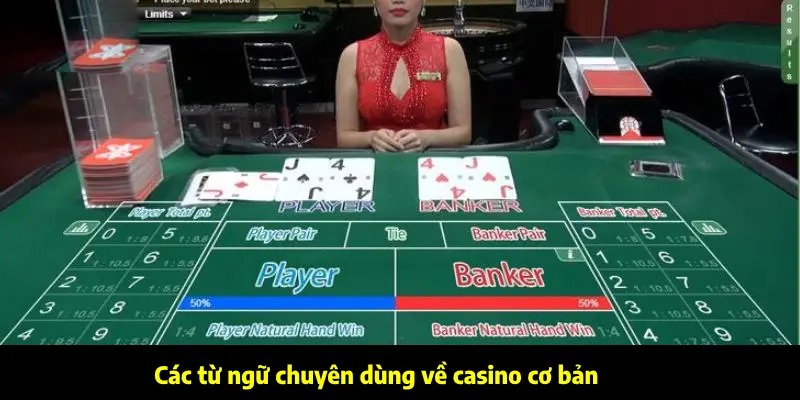 Các từ ngữ chuyên dùng về casino cơ bản